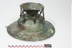 Foto von Bronzebreitrandfußschale (NHMW-PRAE-025437)
